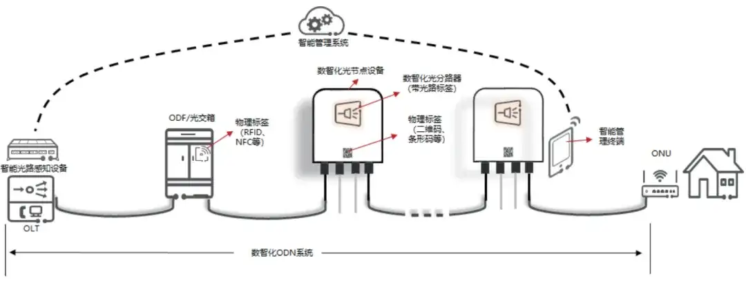 ODN 网络技术如何演进?