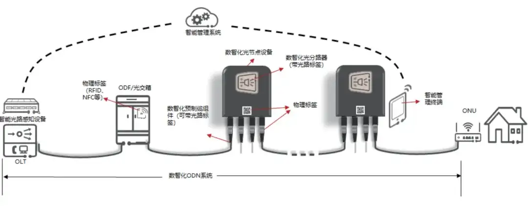 ODN 网络技术如何演进?