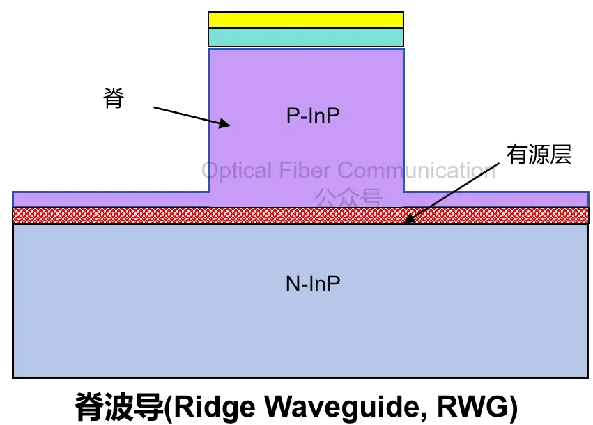 条形波导与脊形波导