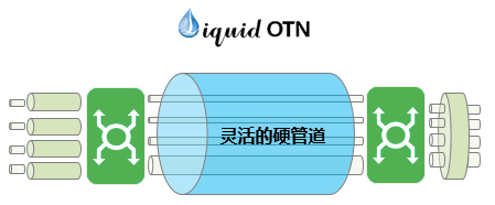 什么是Liquid OTN