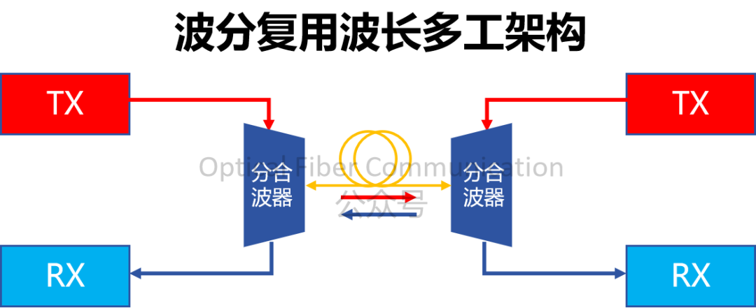 Nvidia：采用 2D GC 与偏振追踪的 BiDi 对称方案