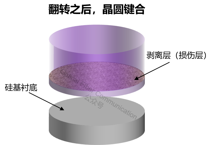 基础知识：TFLN 薄膜铌酸锂是如何制造出来的？