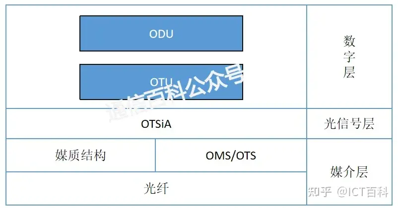 OTN分层结构变成什么样了？