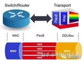 FlexE技术
