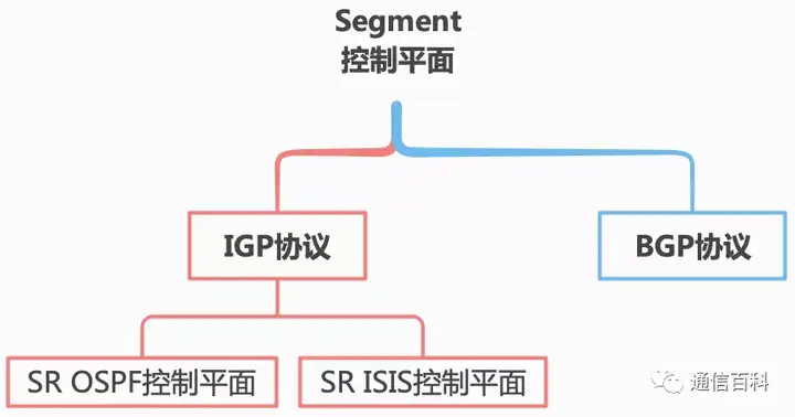 分段路由的控制平面是怎样的？