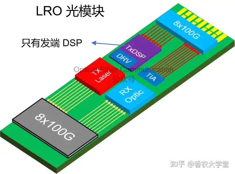 易飞扬：HYBRID，LPO，LRO 与 DSP