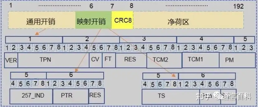 什么是Pixel OTN？