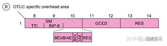 G.709协议：超100G OTUCn信号及其帧结构