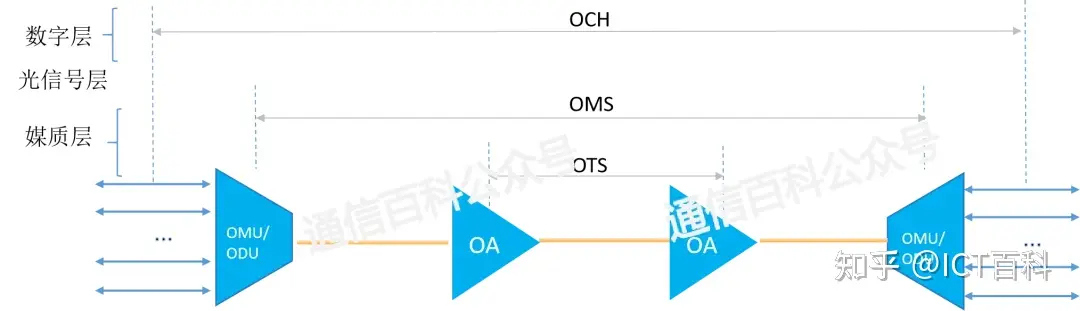 OTN分层结构变成什么样了？