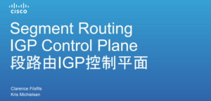 序号 4 ：《SR IGP控制平面Segment_Routing_igp_control_plane_中文版》