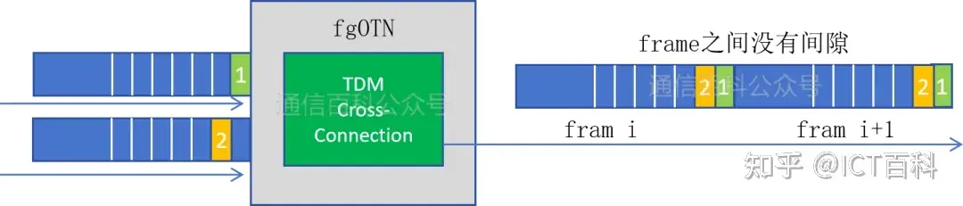 fgOTN 会是 SDH 的演进方向吗?