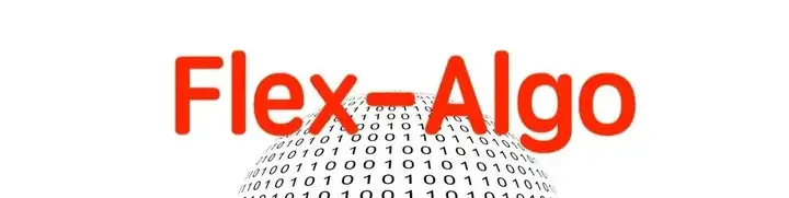 5G承载(9):灵活算法Flex-algo怎样实现TE能力?