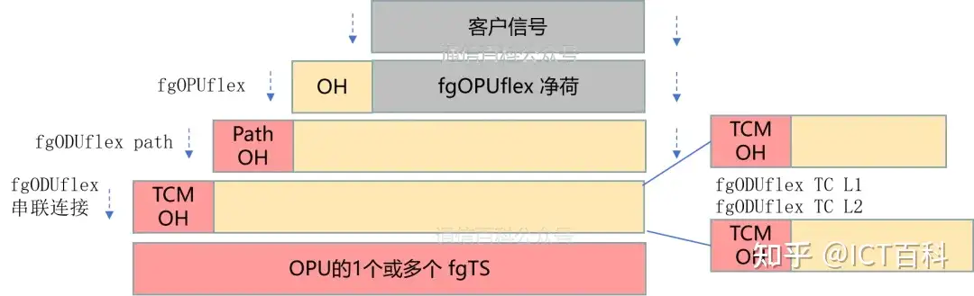 fgOTN 会是 SDH 的演进方向吗?