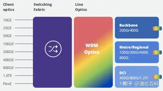 IPoWDM还是IP+WDM ?