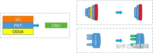 什么是Pixel OTN？