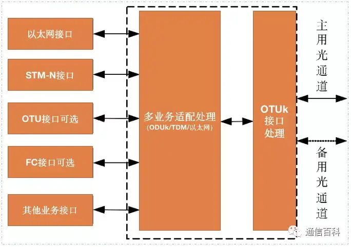CPE OTN到底是什么?